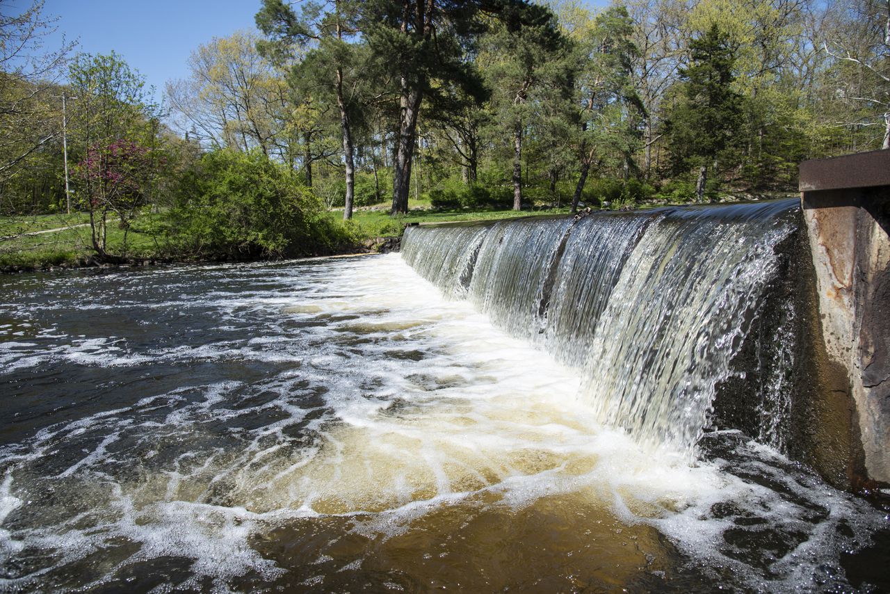 Milham Park dam removal moves forward with updated cost