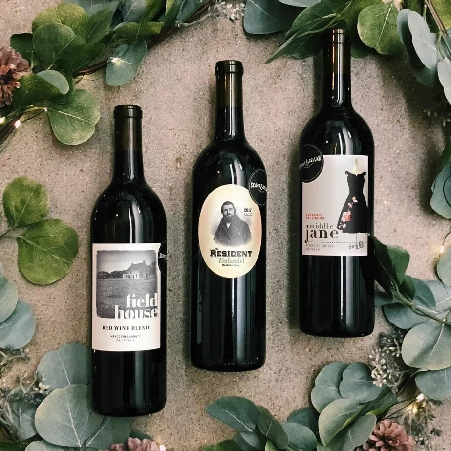 Scout and Cellar MLM Review MLM Reviewed