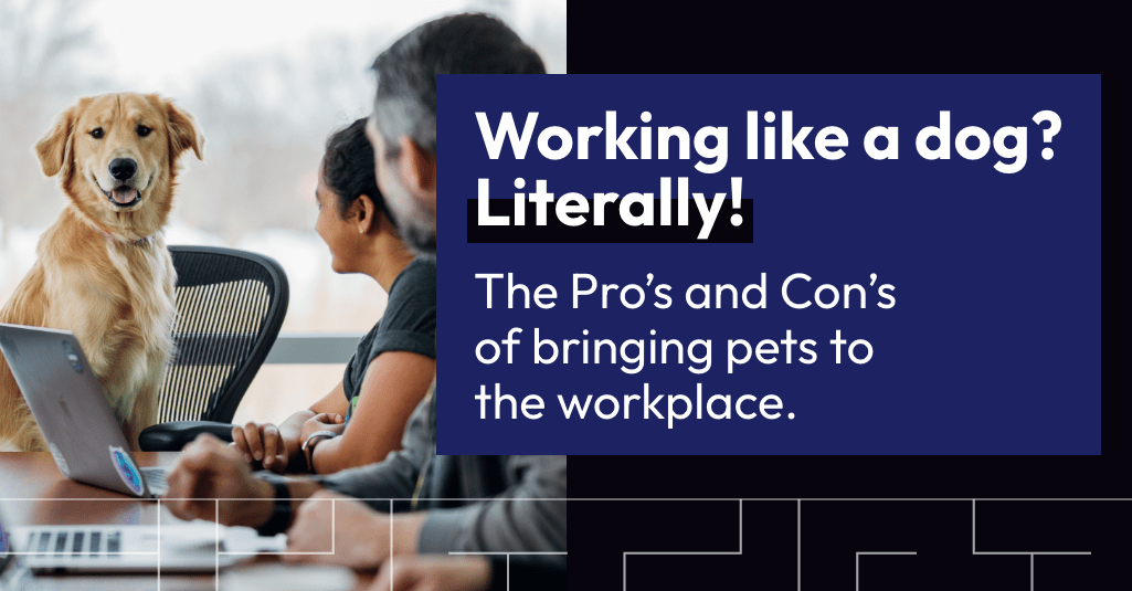 Working like a dog? Literally! The Pro's and Con's of bringing pets to