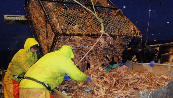 AlaskaJobFinder Leader in Alaska Fishing Industry Jobs