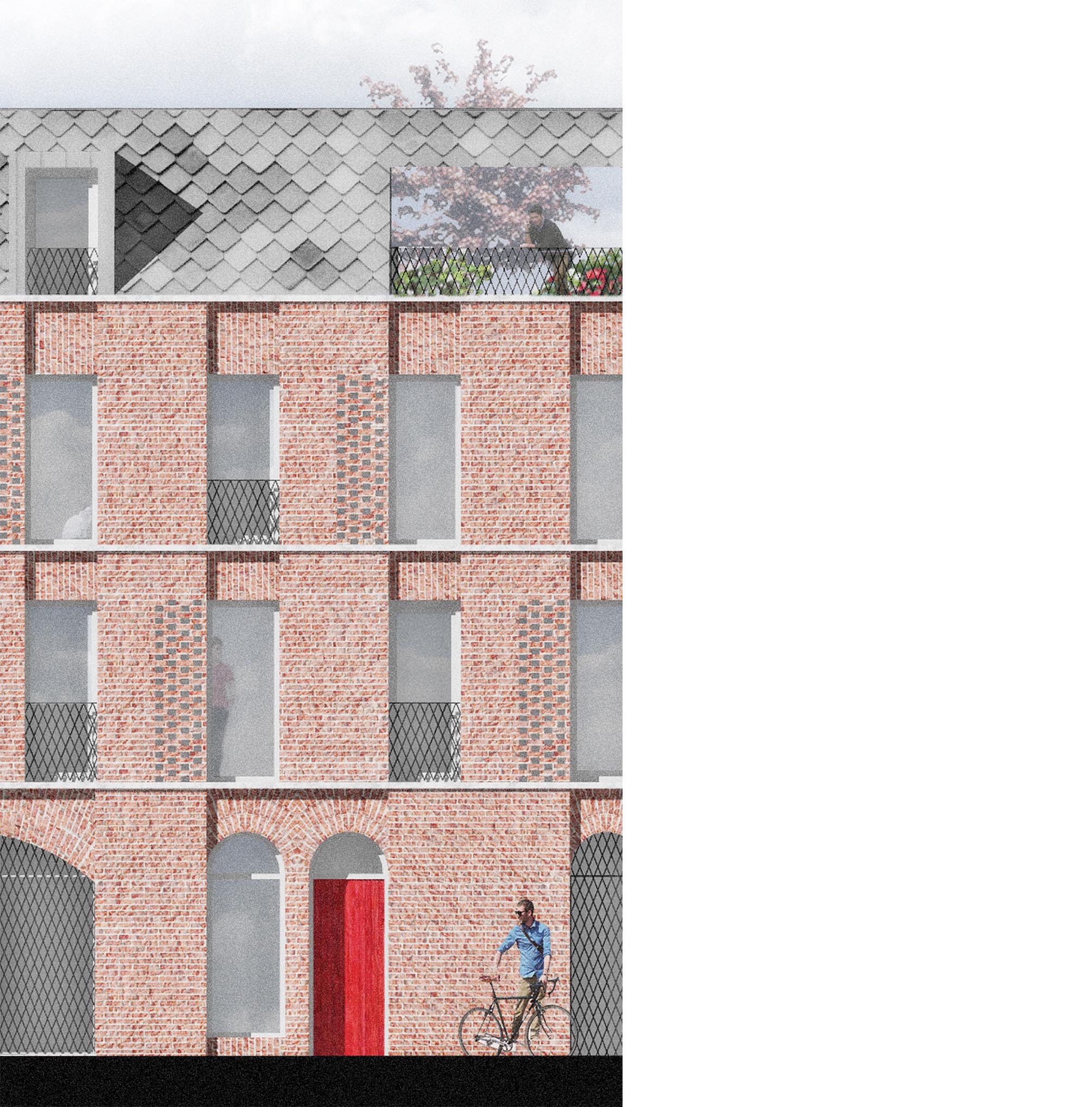 Apartments, Wellesley Avenue MMAS Architecture, Planning and Urban Design