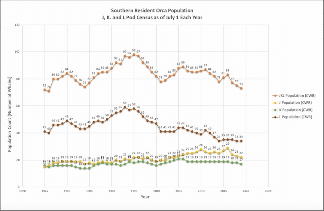 Whale Population Graph 2022