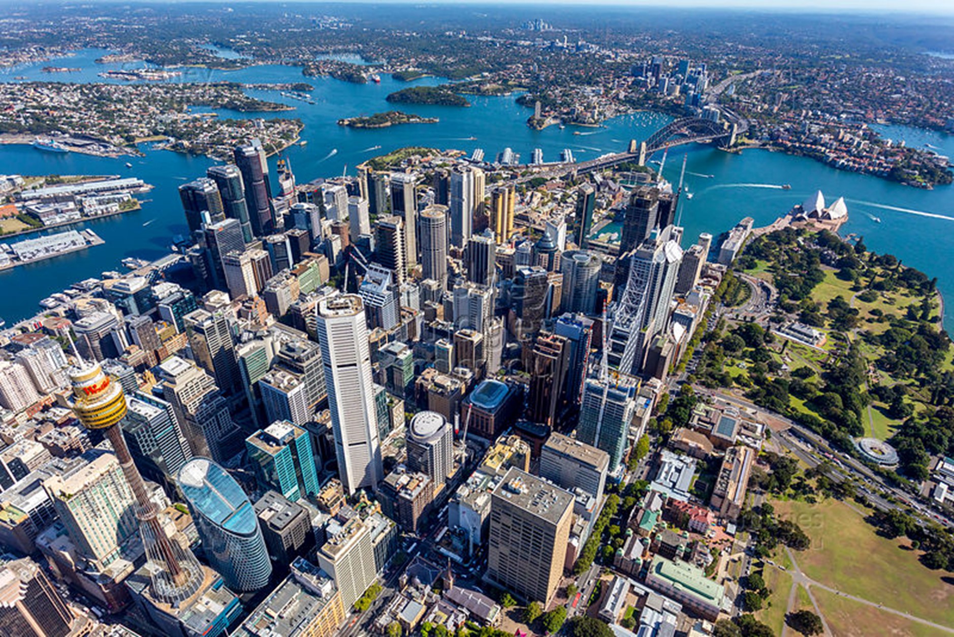 Year in Review Sydney Office Leasing 2022 » MMJ Real Estate