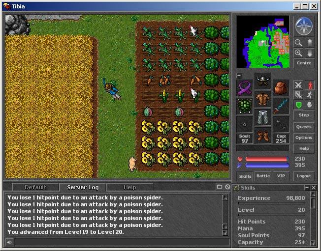 Tibia Review and Download