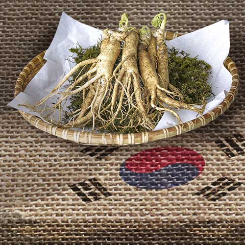Ginseng discover what it is, properties and benefits Ginseng Marnys