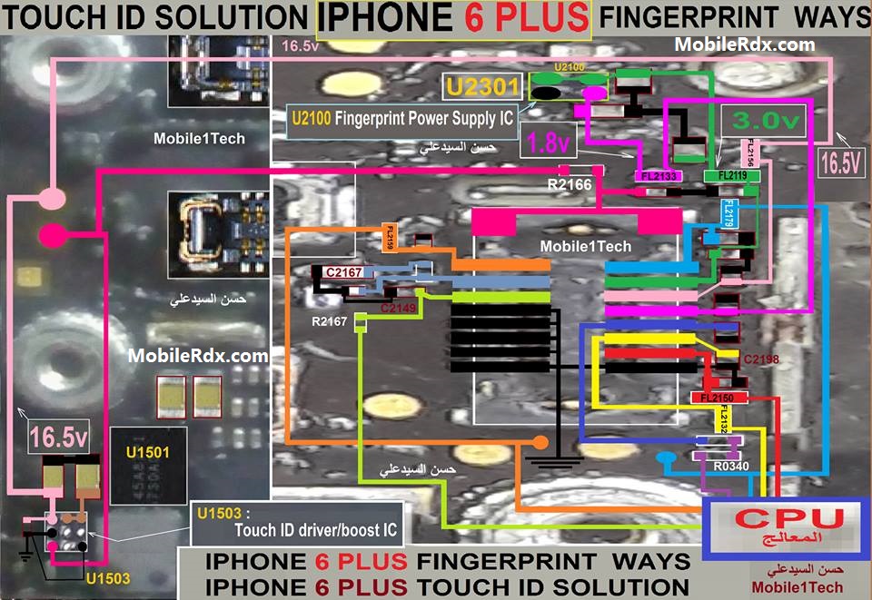 Lightning (connector) · apple lightning to usb cable (md818) · lightning cable connected to ipad mini · lightning cable with iphone 6s · lightning connector. iPhone 6 Plus Fingerprint Ways Touch ID Problem Solution