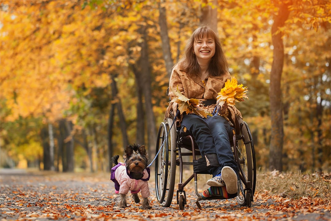 Mobility Aids Hire Mobility and Wellness