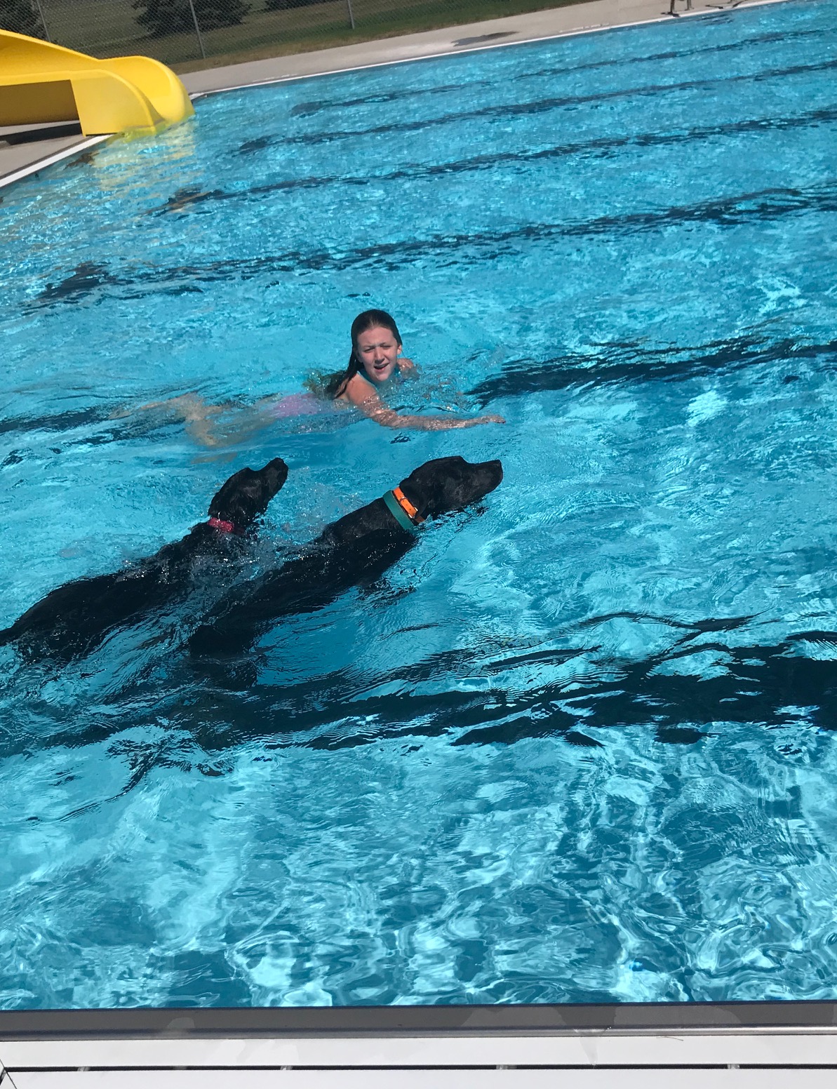 Wetdown Mobridge Tribune