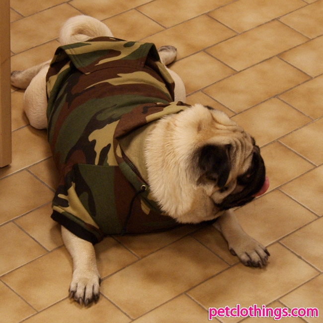 Sudadera Camuflaje Verde para perros grandes (Boxer, Pug, Carlino)