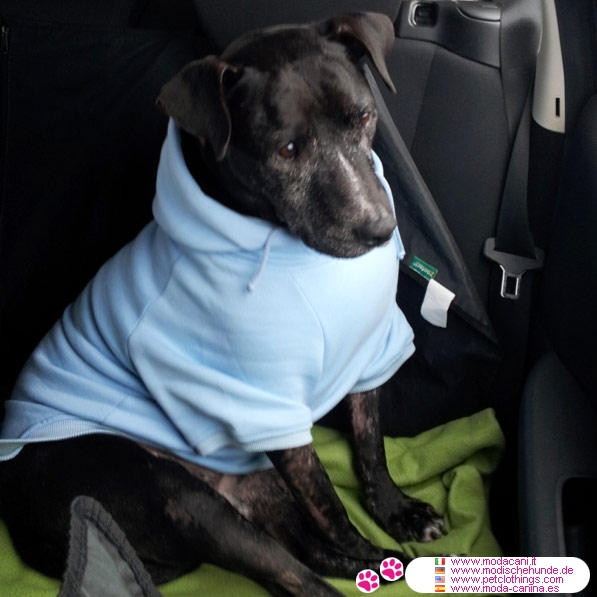 Ropa para perros grandes Sudadera para perros en Azul