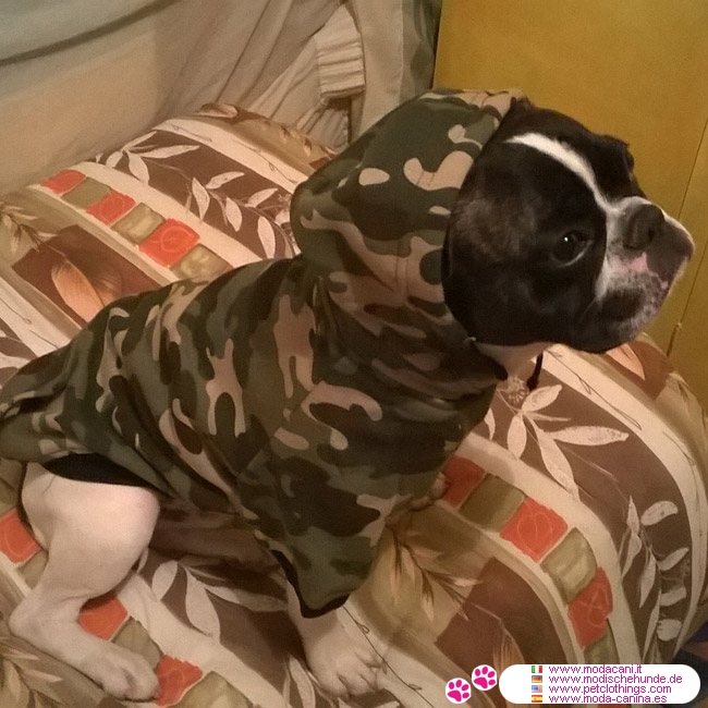 Sudadera Camuflaje Verde para perros grandes (Boxer, Pug, Carlino)