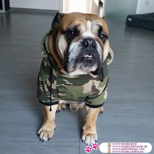 Sudadera Camuflaje Verde para perros grandes (Boxer, Pug, Carlino)