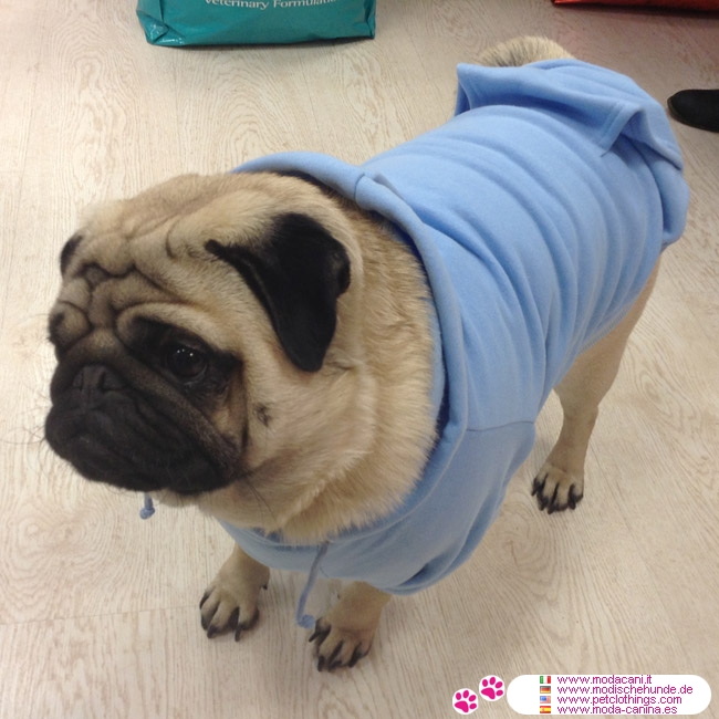 Ropa para perros grandes Sudadera para perros en Azul
