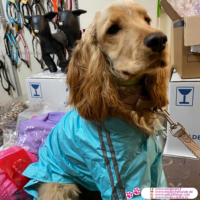 Impermeable FBI Azul 4 Patas para Perros Grandes (pastor alemán, boxer