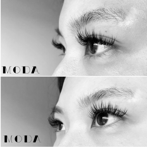 Eyelashes Vancouver The Lash Studio Moda Lash