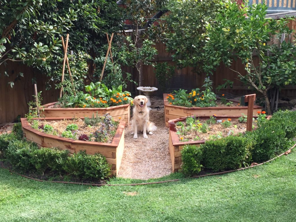 Wicking Garden Beds Shop Online ModBOX