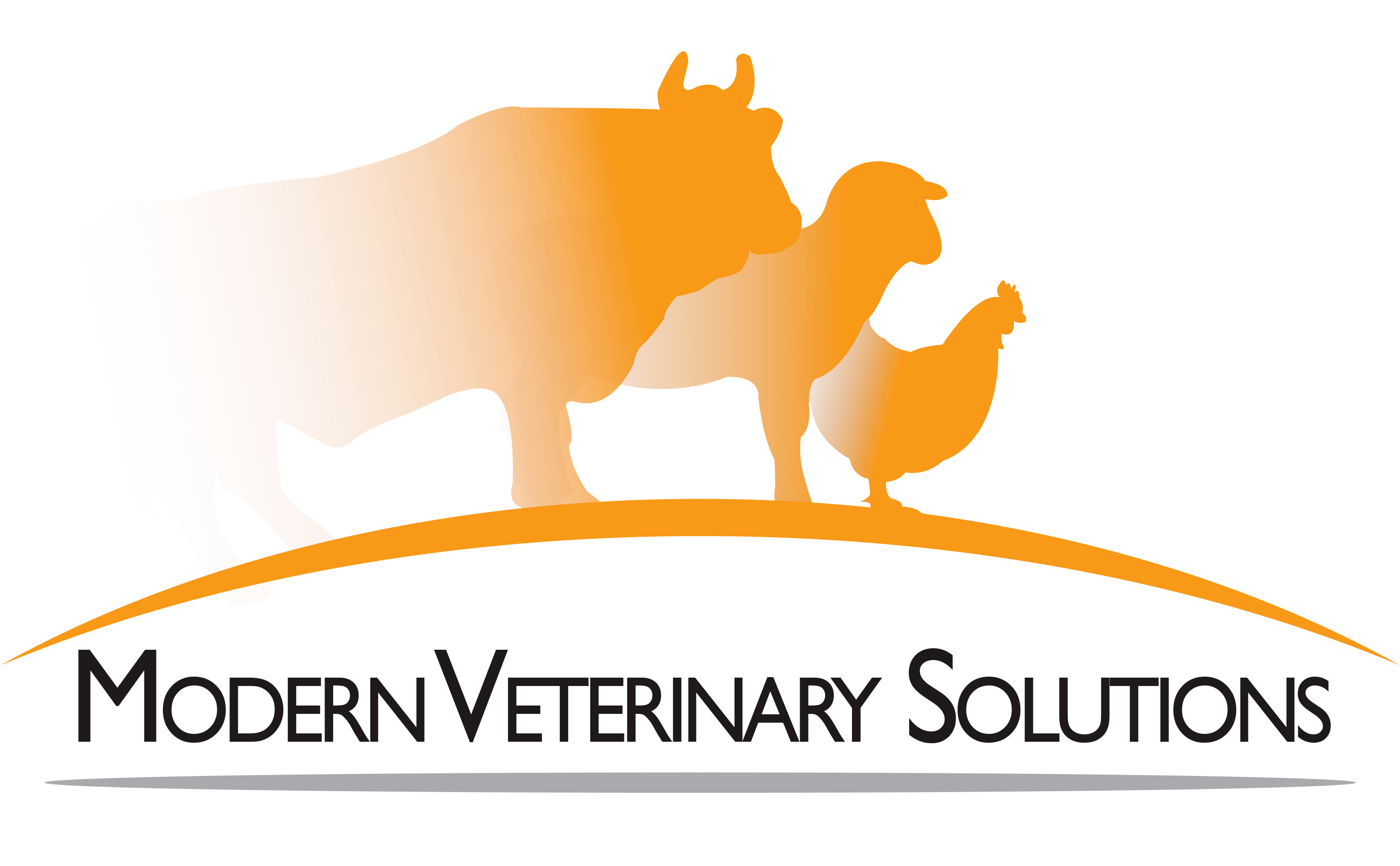 MODERN VETERINARY SOLUTIONS