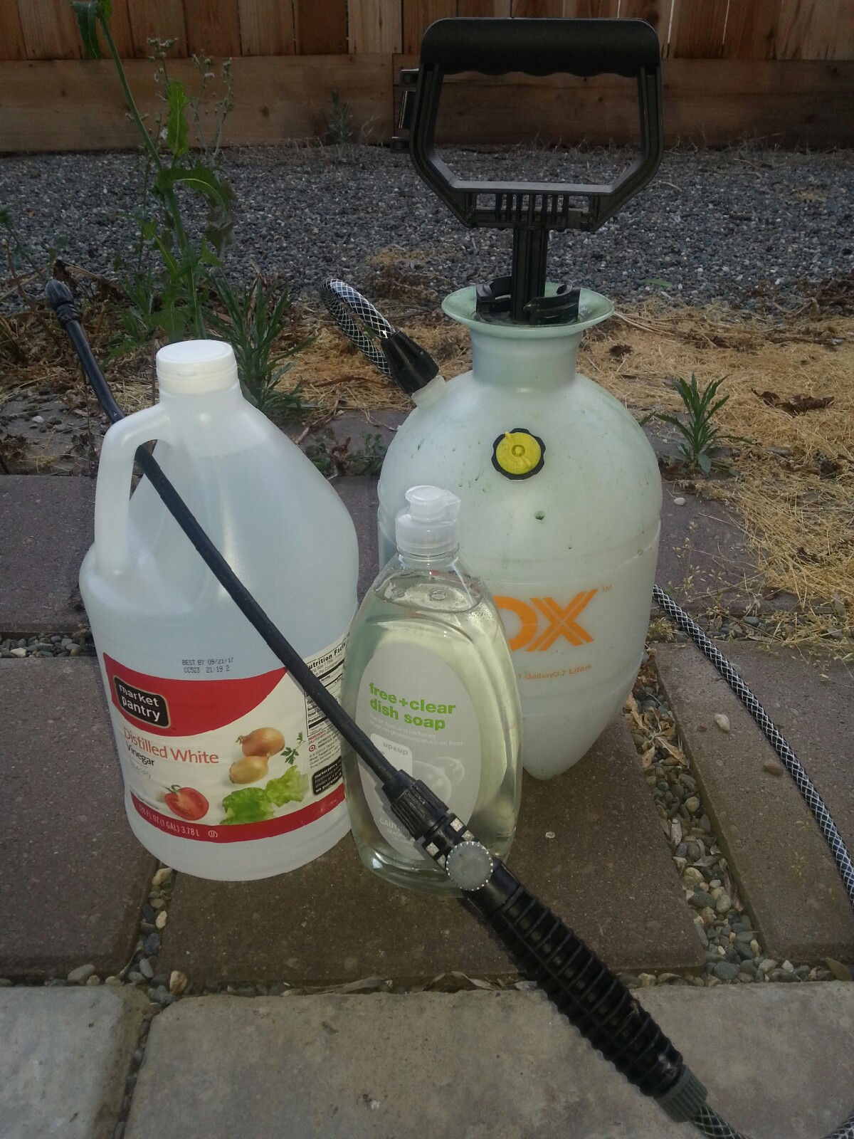 Homemade Beefriendly Weed Killer Modestoview