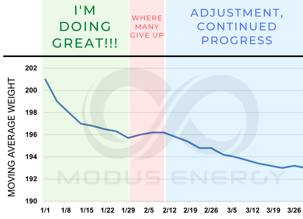 Breaking a Fat Loss Plateau Modus Energy Nutrition Coaching