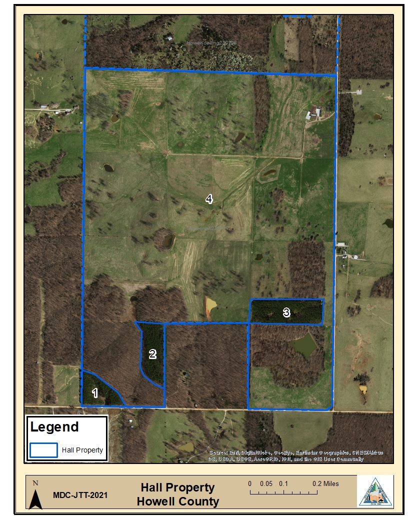 Timber Sale Missouri Forest Products Association