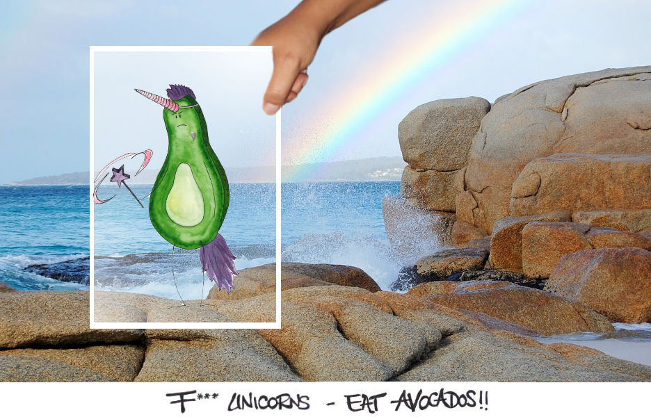 Avocados erobern die Welt Mogroach