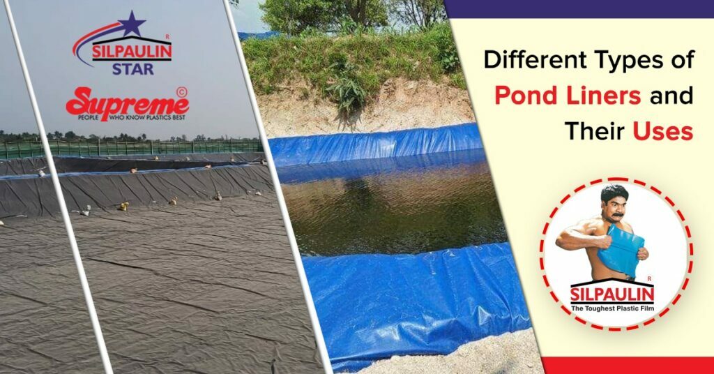 Different Types of Pond Liners and Their Uses