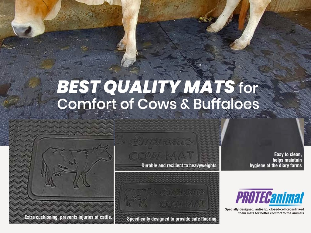Cow Mats Buffalo Mats Rubber Cow Mats Foam Cow Mats