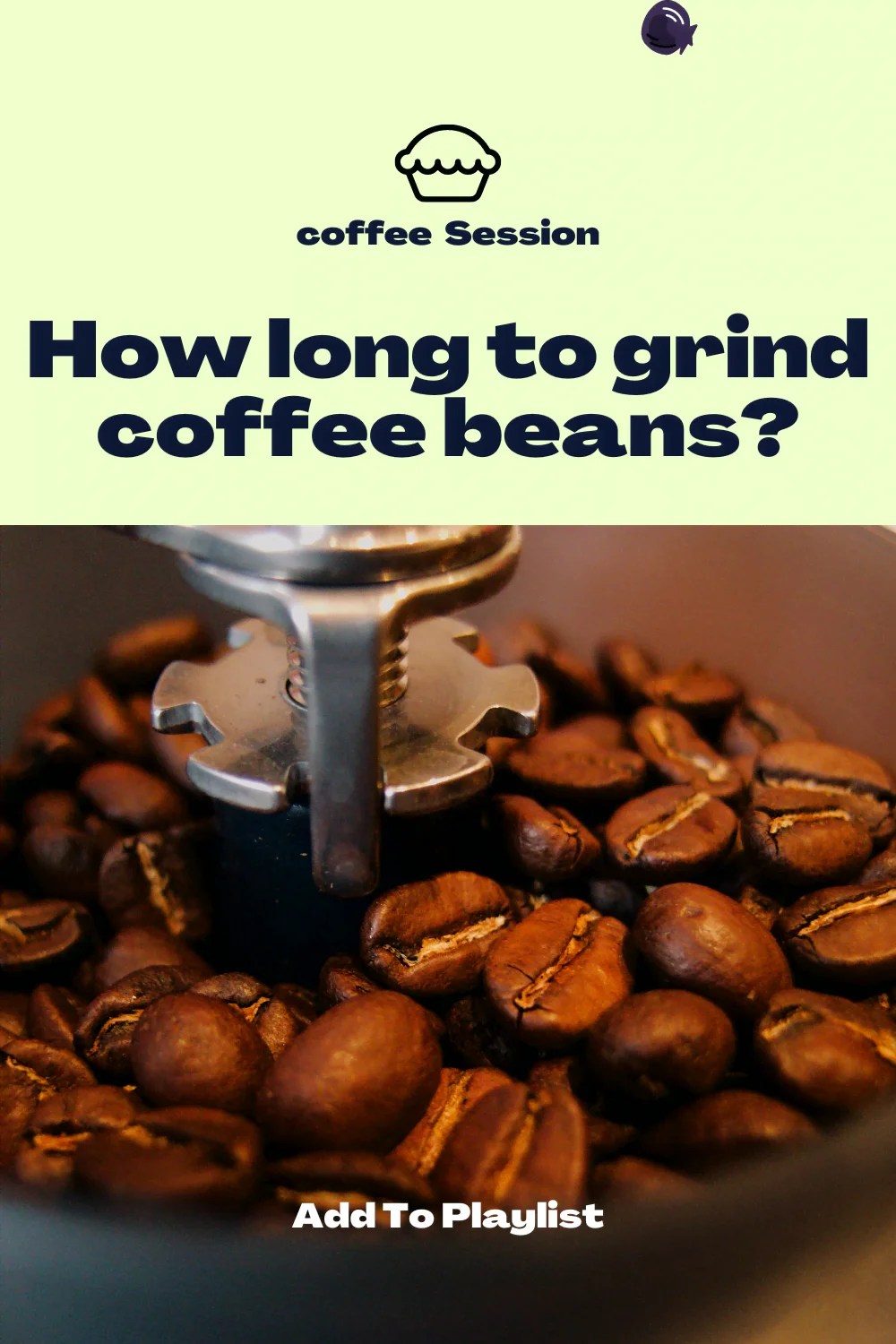 How long to grind coffee beans