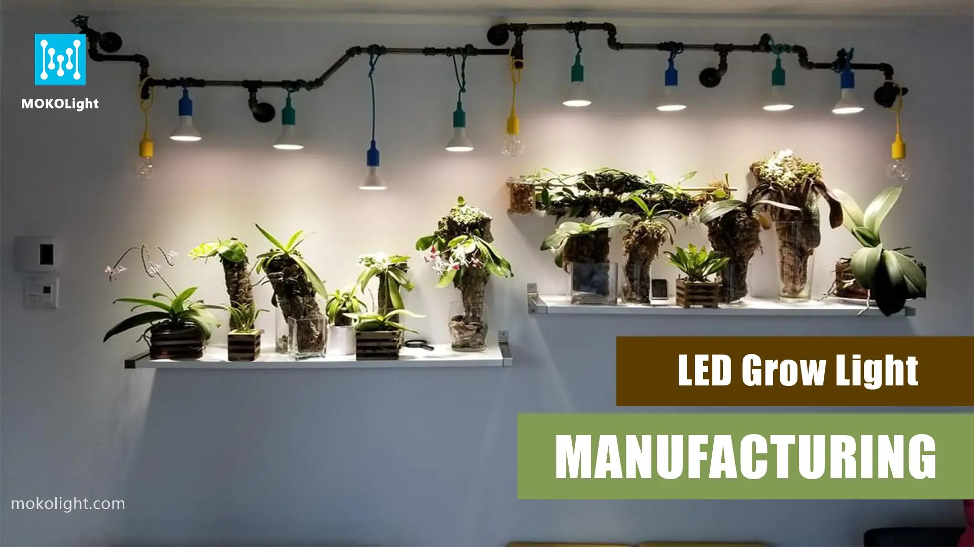 The Ultimate Guide to LED Grow Light Manufacturing MOKOLight