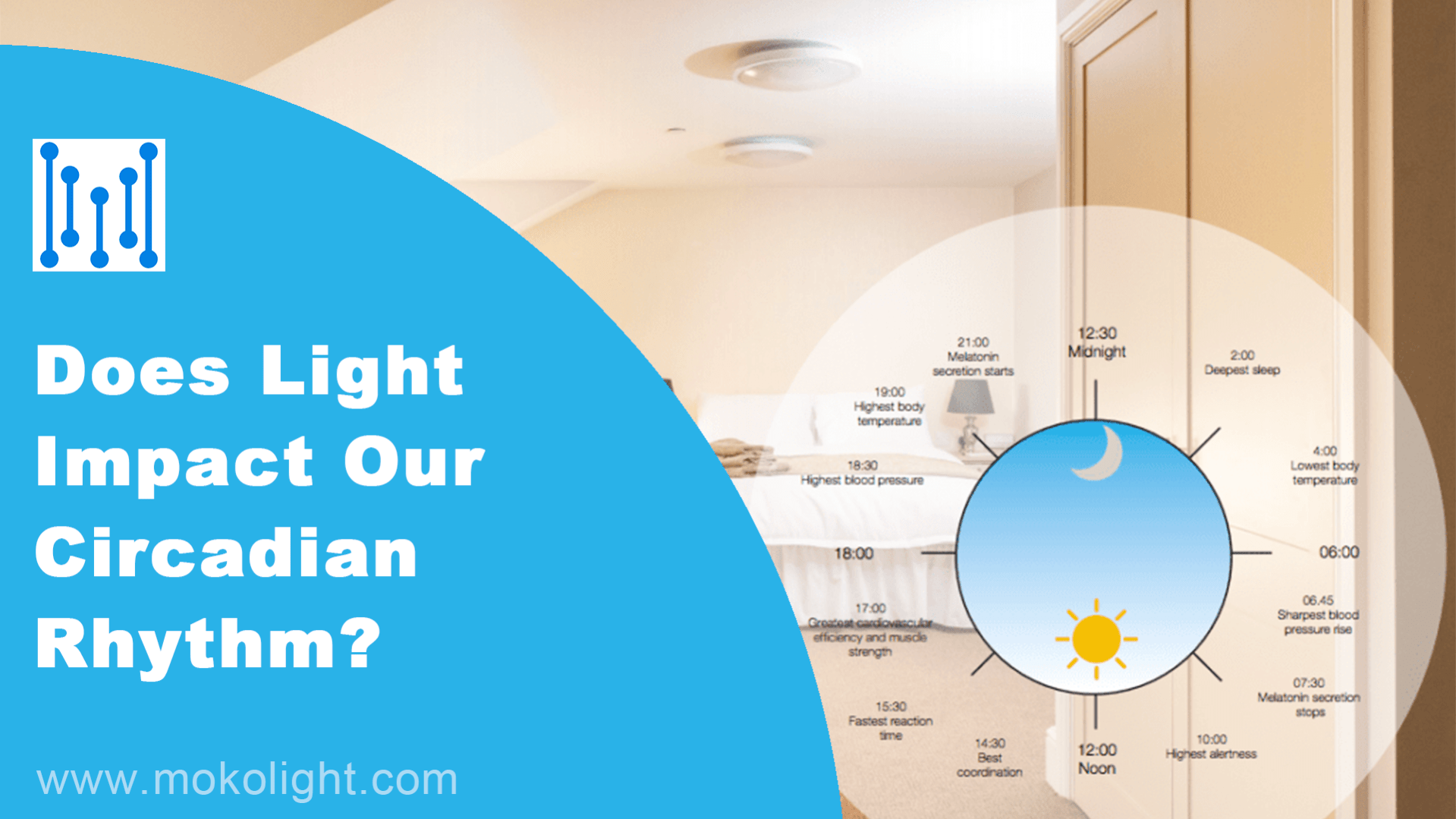 Does Light Impact Our Circadian Rhythm?