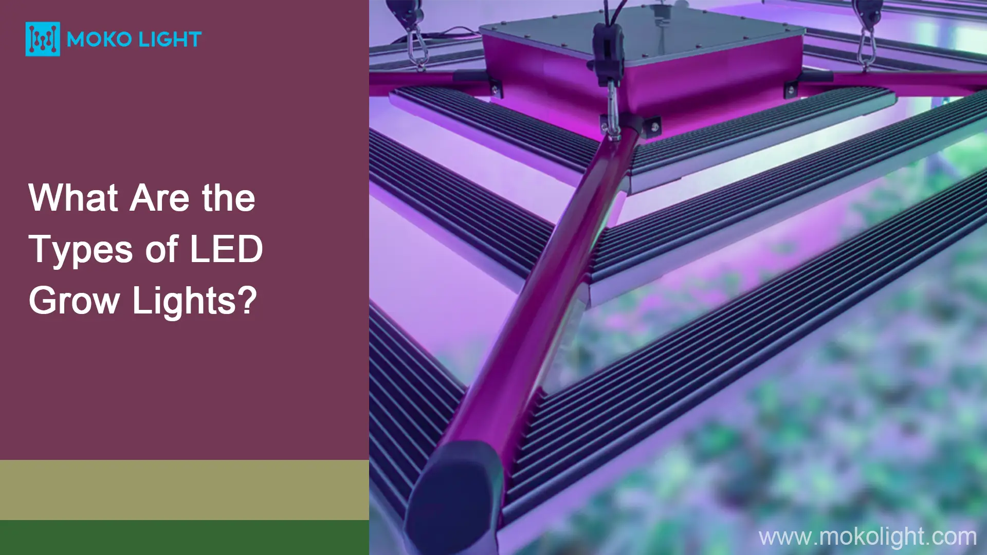 What Are the Types of LED Grow Lights? mokolight
