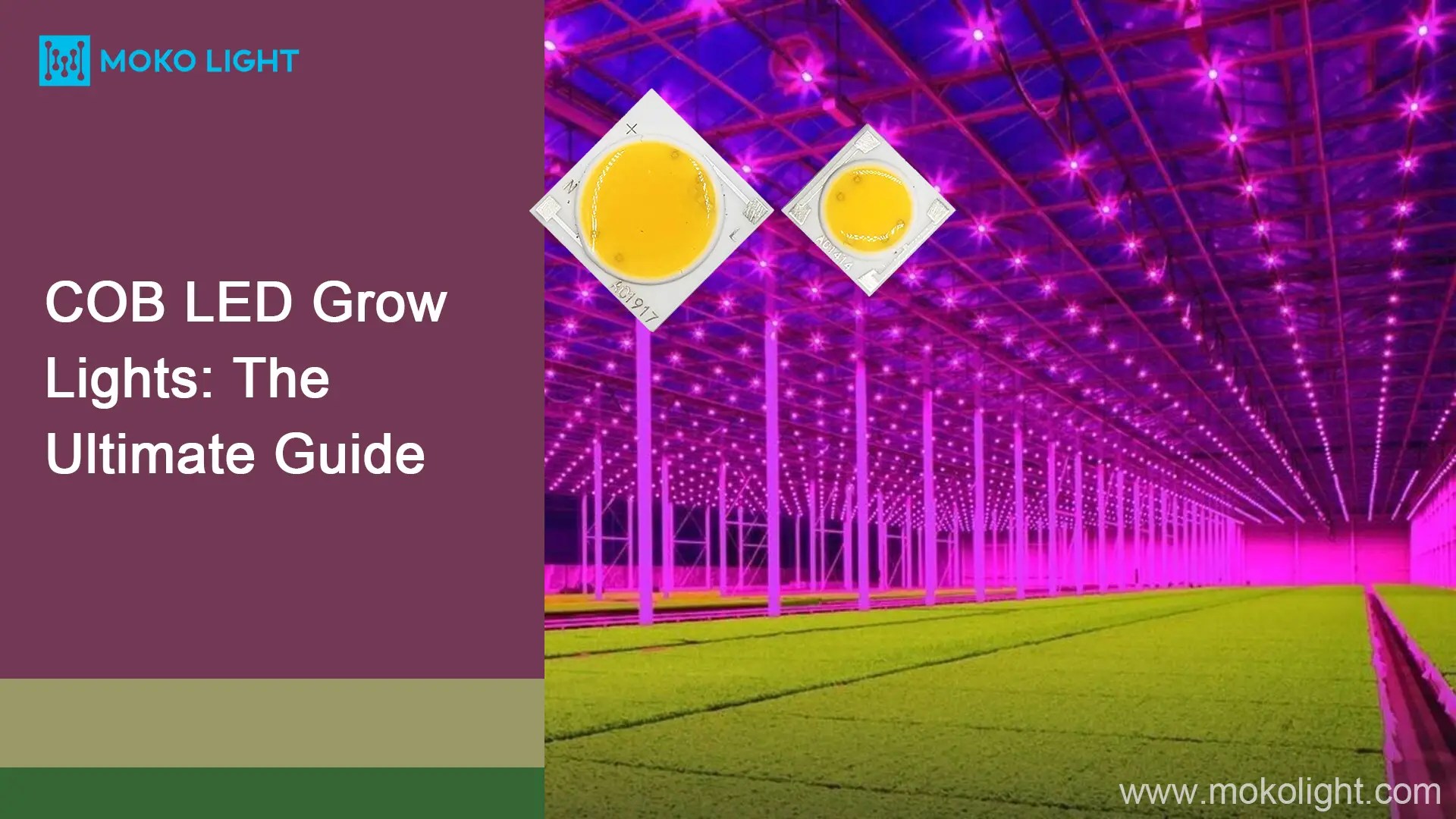 COB LED Grow Lights The Ultimate Guide mokolight
