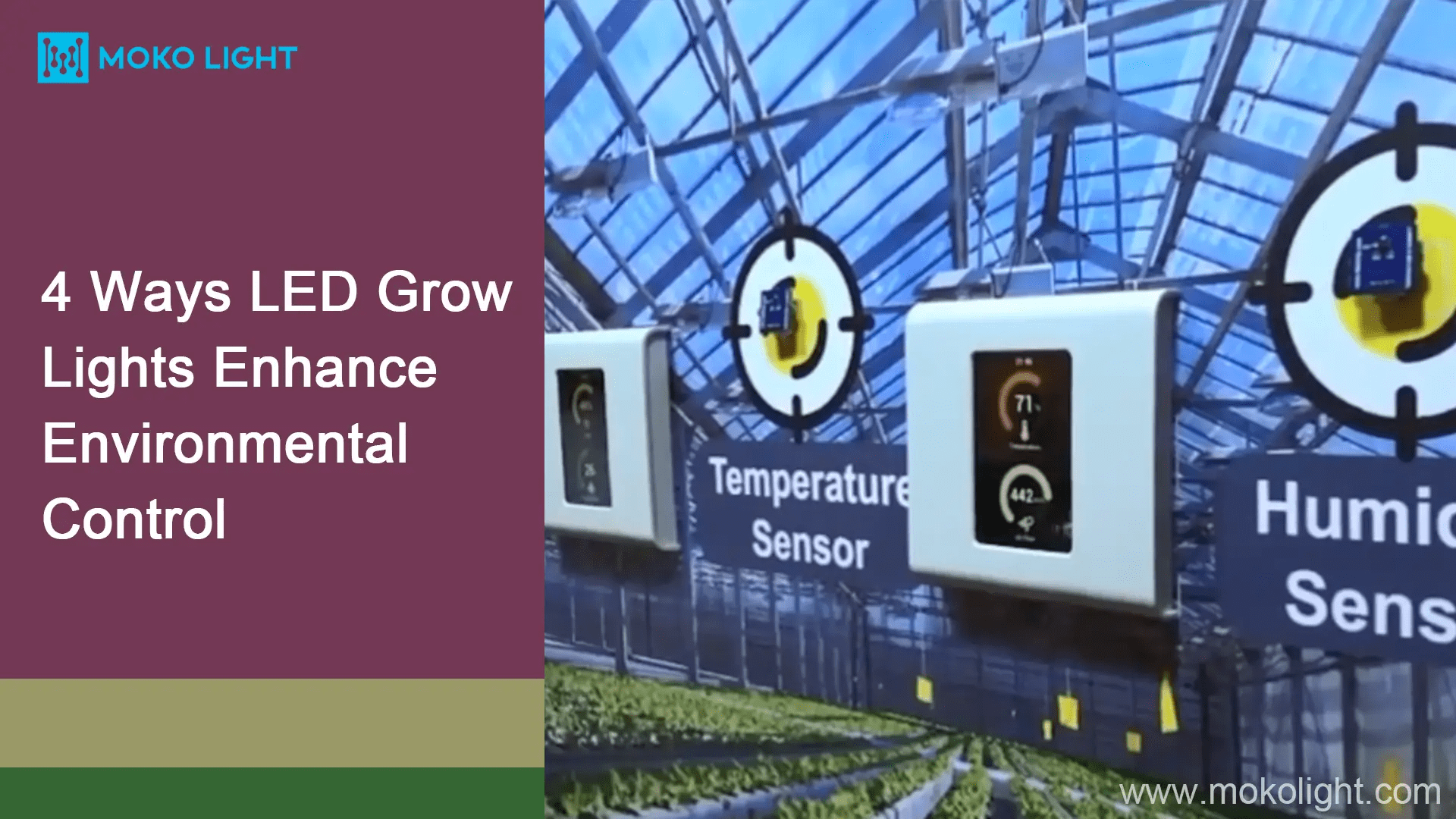 4 Ways LED Grow Lights Enhance Environmental Control