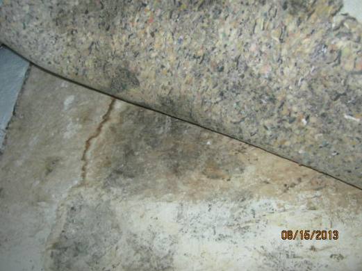 Home Selling and Mold.......Required Disclosure Information