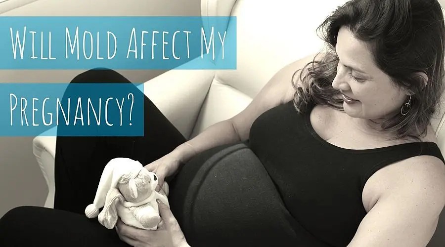 pregnancy and mold_opt NJ Mold Removal, Mold Inspection NJ, and Mold