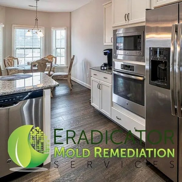 Removing Mold From Kitchen / Getting Rid Of The