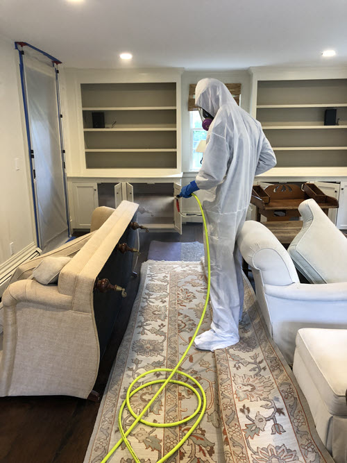 Can you stay in your Maryland home during mold remediation?