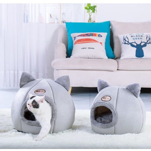 Foldable and Removable Cat Bed Buy Today Get 55 Discount MOLOOCO