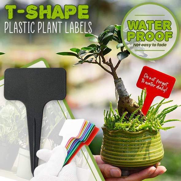 Plastic Plant Labels Not sold in stores MOLOOCO