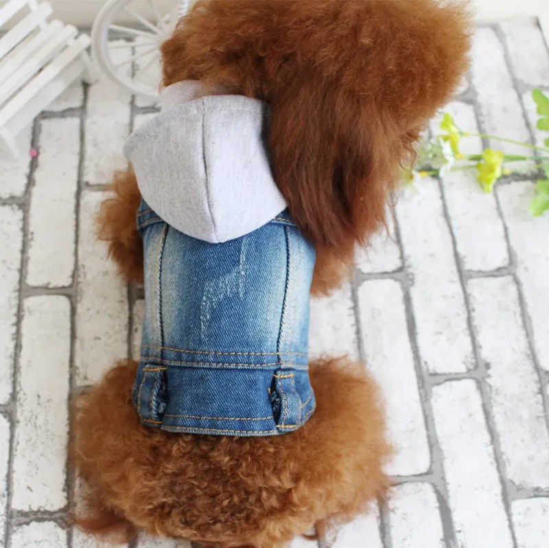 Small Dog Denim Jacket Buy Today Get 55 Discount MOLOOCO