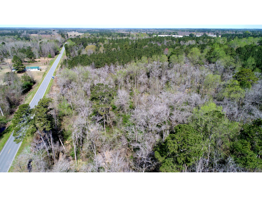 Sampson County 31 +/ Acres Molpus Woodlands Group