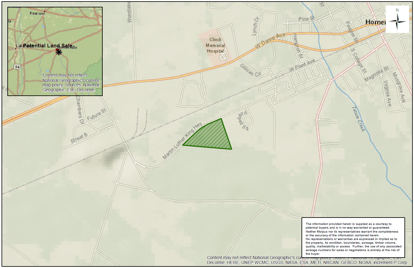 Clinch Co 22 +/ Acres Molpus Woodlands Group