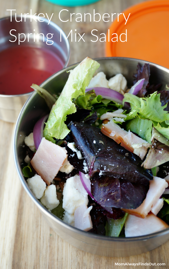Turkey Cranberry Spring Mix Salad Recipe Mom Always Finds Out