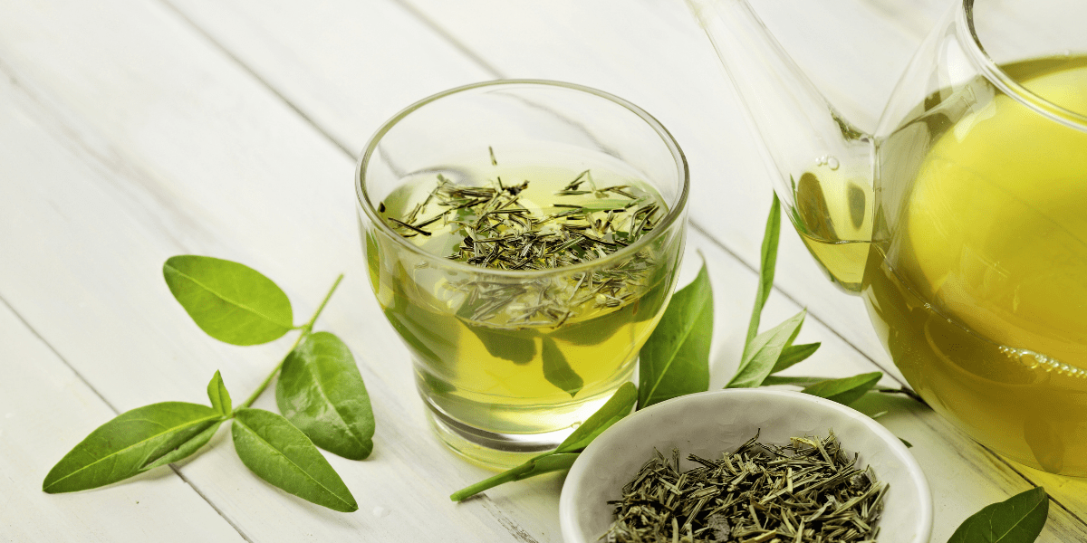 Green tea Healthy Benefits, Dosage and Side Effects — MO Marketplace
