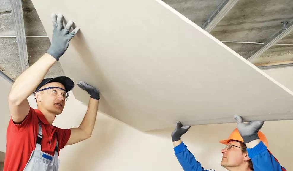 8 Types Of Plasterboard And How To Use Them In Your Home Momma Young