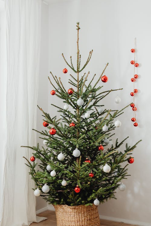 How To Decorate A Red Christmas Tree? What Goes Well With Red On A