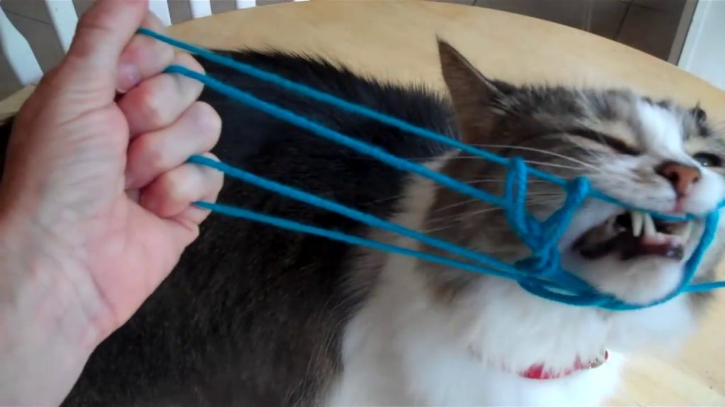 String Game Tutorials Running Dog