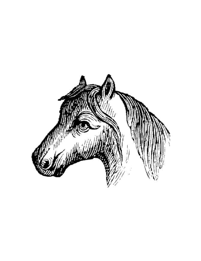 Baby Girl Names That Start With R