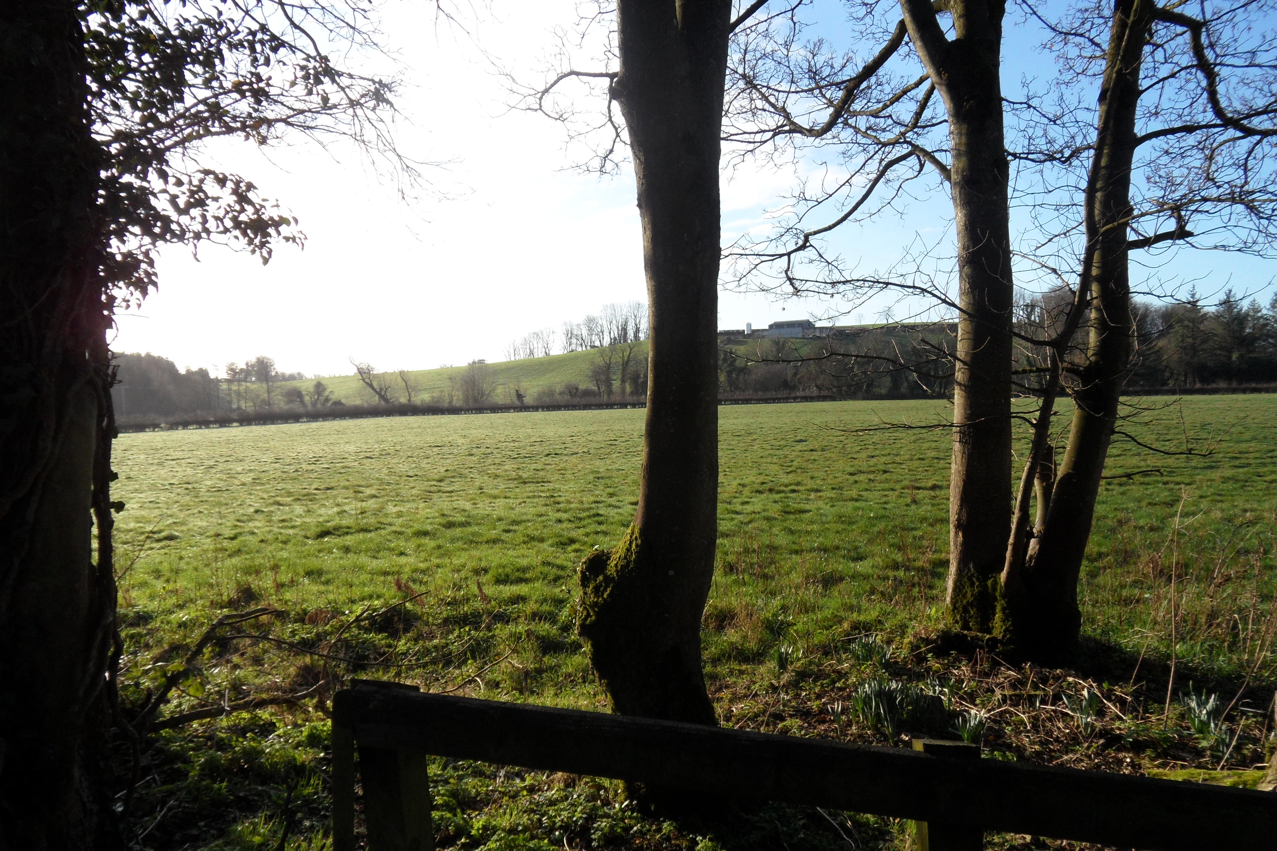 Property for sale Monaghan