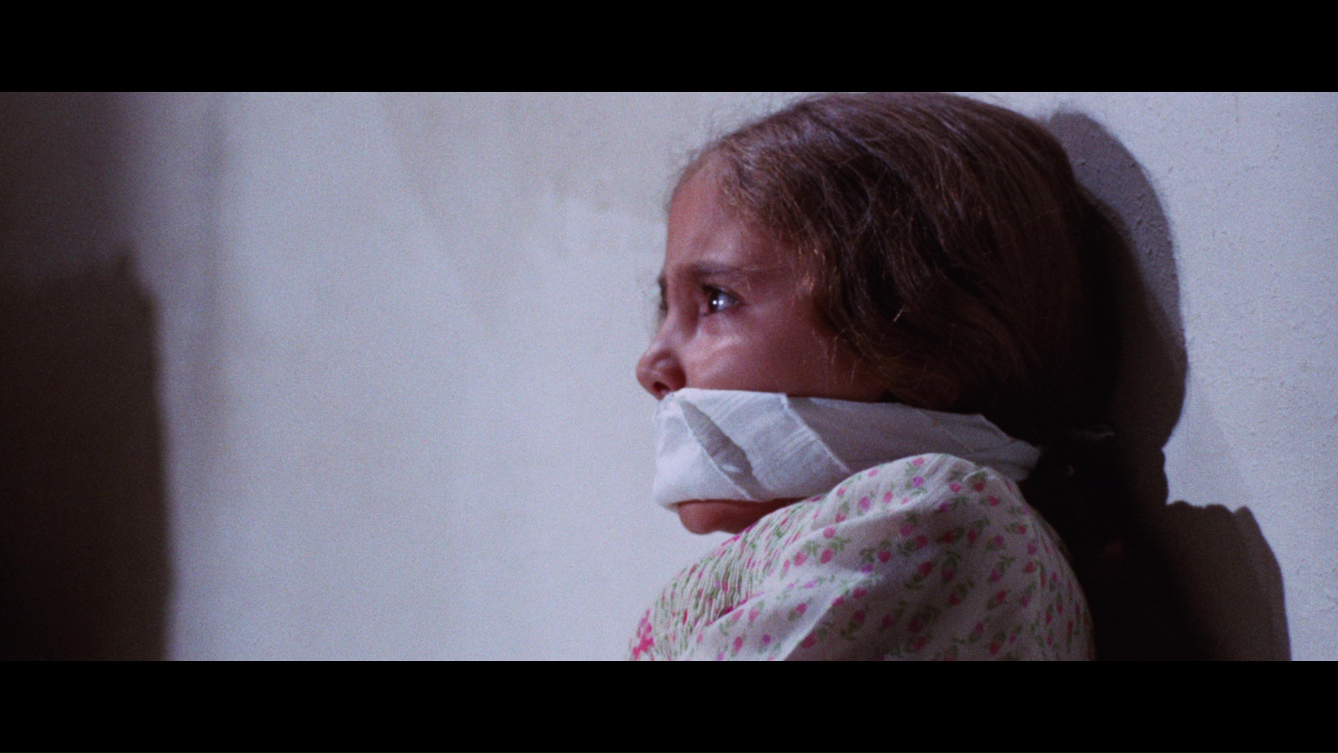 The Cat o' Nine Tails